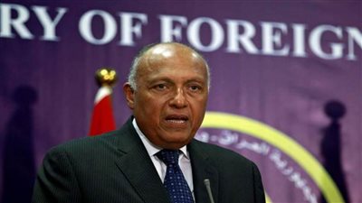 شكري ونظيره الكندي يبحثان 