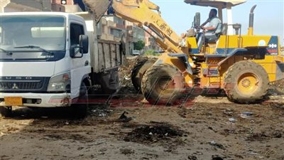 كفر الشيخ: ترفع 2024 طن قمامة من الشوارع 