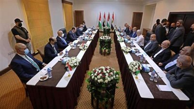 خبير سياسي: صور السيسي تملأ غزة.. وجعلنا قضية فلسطين موضع اهتمام العالم