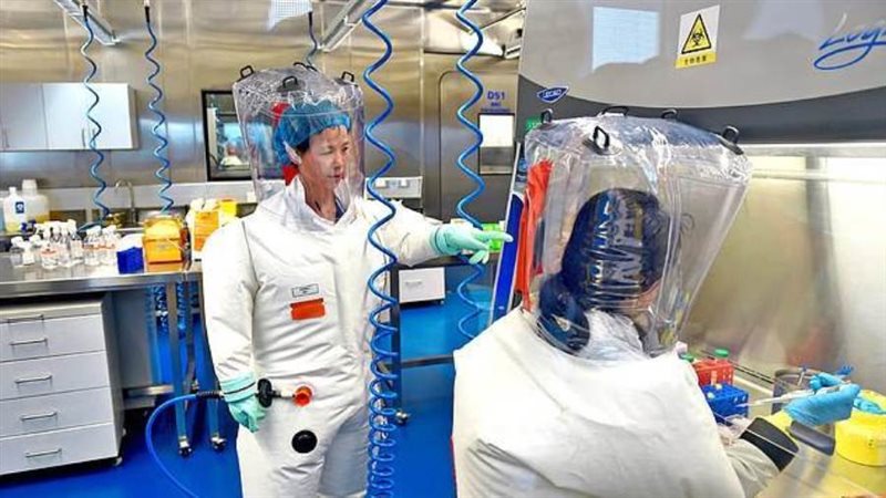 الدكتورة شي جينجلي