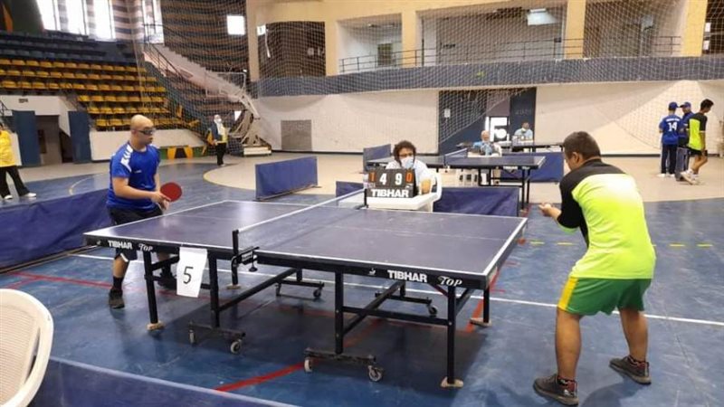 اتحاد الإعاقات الذهنية