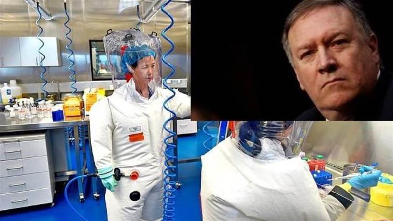 بات مان وفي الإطار