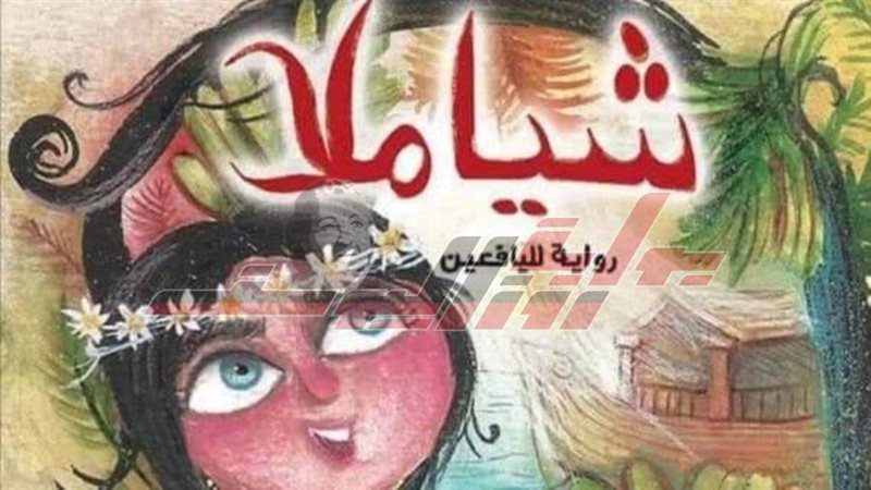 غلاف الكتاب