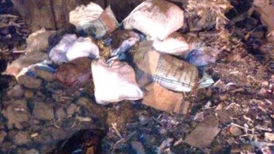 محافظ أسوان: التعامل الفوري مع بلاغ لضبط سيارة ألقت مخلفات أسماك 