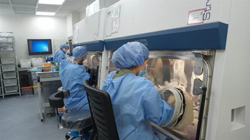 معايير عالمية داخل