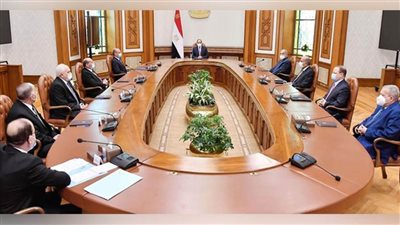 نائب رئيس مجلس الدولة فى قراءة متأنية لقرارات الرئيس السيسى