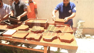 تصنيع ماكينة الإنترلوك لرصف الطرق الضيقة بكفر الشيخ