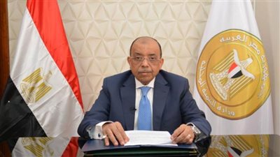 وزير التنمية المحلية: 2103 مشروعات صغيرة ومتوسطة نفذها 