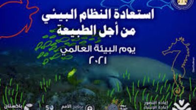 البيئة تطلق حملة الحفاظ على البيئة البحرية .. غداً