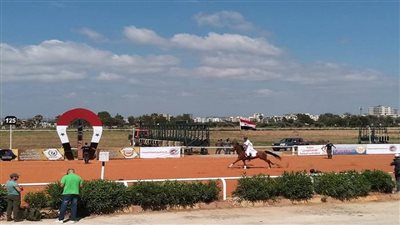 سوريا.. سباق الخيول الأصيلة ينطلق في اللاذقية بعد 11 عاما من التوقف