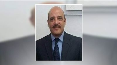 جامعة أسوان: الإعداد لإنشاء جامعة أسوان الأهلية ذات تخصصات نوعية