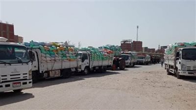 توريد نحو 644 ألف طن قمح لشون وصوامع محافظة الشرقية