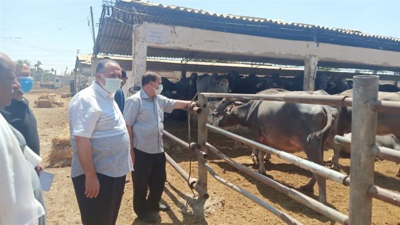 السكرتير المساعد