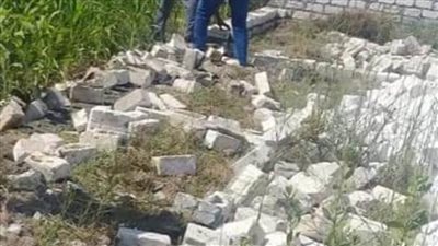 استمرار حملات إزالة التعديات في مهدها بالبحيرة