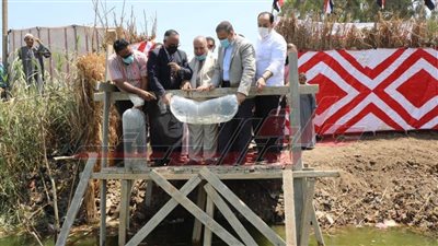 4 ملايين سمكة هدية من الدولة لصيادي المنوفية