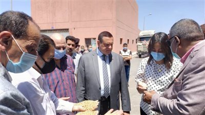 اللواء هشام آمنة يتفقد أعمال توريد القمح وصوامع التخزين