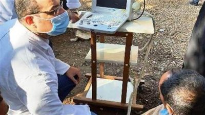 إجراء المسح التناسلي لـ3 آلاف و329 وتلقيح 613 رأس ماشية بالشرقية