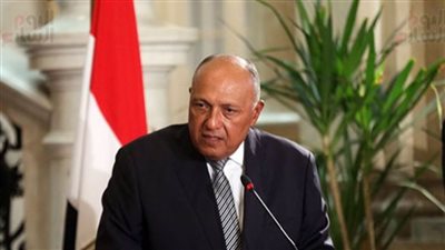 شكرى يبحث مع نظيره الياباني العلاقات الثنائية والملفات الإقليمية والدولية