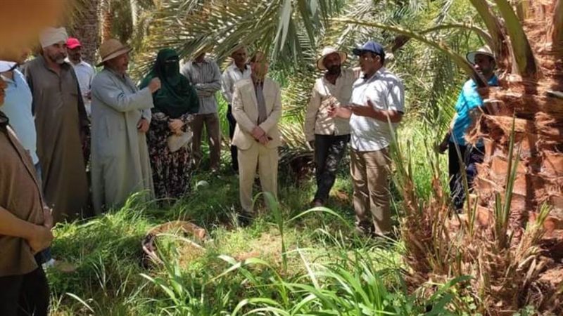 ندوات توعية لخدمة