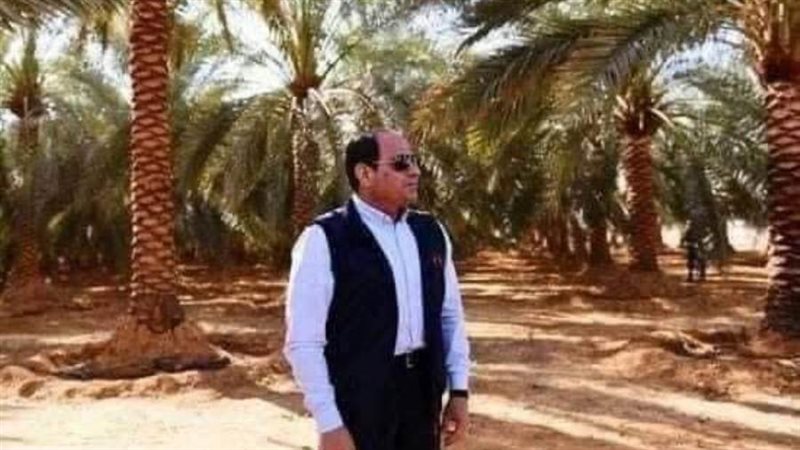 مشروع المليون نخله