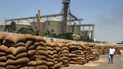 توريد 210 آلاف و477 طن قمح للشون والصوامع بالدقهلية