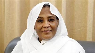 عاجل| وزيرة خارجية السودان تكشف مستجدات أزمة السد الإثيوبي