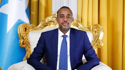 رئيس الوزراء الصومالي يبحث مع المبعوث الأممي تعزيز التعاون