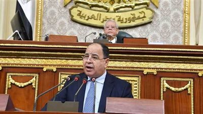 وزير المالية أمام 