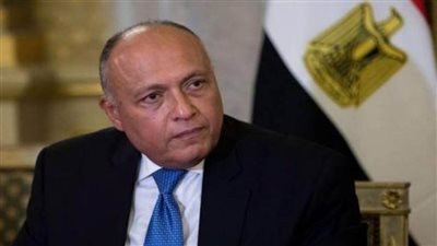 عاجل| شكري يتوجه إلى الدوحة حاملاً رسالة من الرئيس السيسي إلى أمير دولة قطر