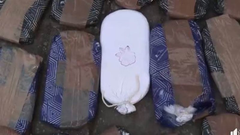 صورة أرشيفة