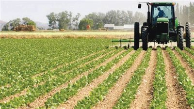 نهضة زراعية شاملة.. 7 سنوات من الإنجازات في عهد الرئيس السيسي