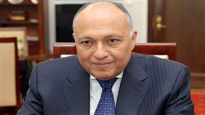 وزير الخارجية: مصر مصرة على استنفاد كل الحلول الدبلوماسية بخصوص سد النهضة