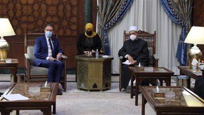 الإمام الأكبر يطالب بمكافحة «عنف الفقر» ضد المرأة والطفل والرجل