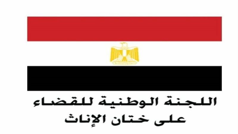 اللجنة الوطنية للقضاء