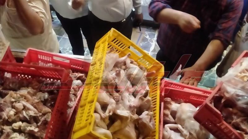 الدواجن الفاسدة