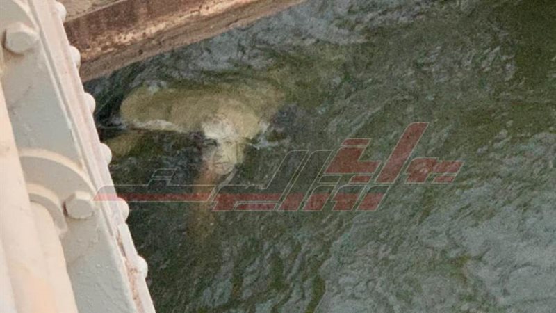 جثة أسفل كوبرى ابوزعبل