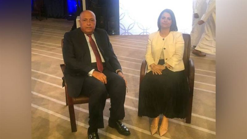 سامح شكري وزير الخارجية