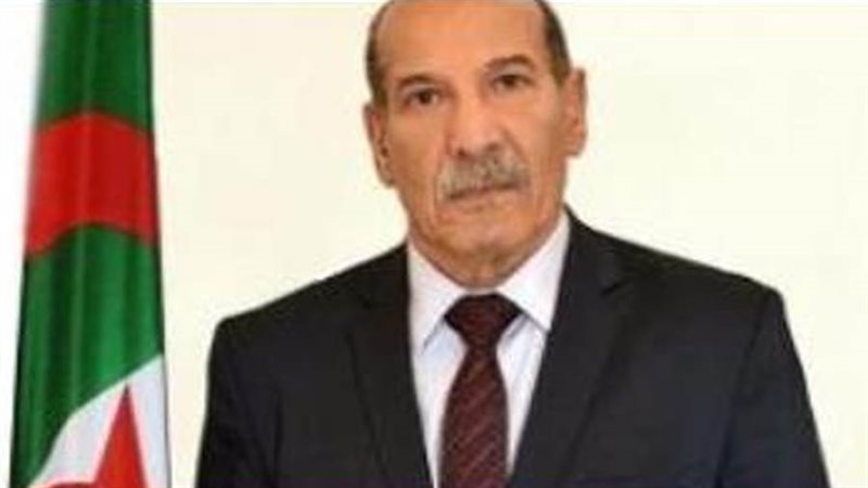 رئيس المجلس الدستوري