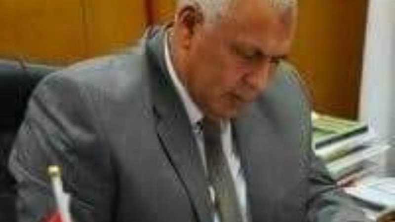 محافظ الوادى الجديد