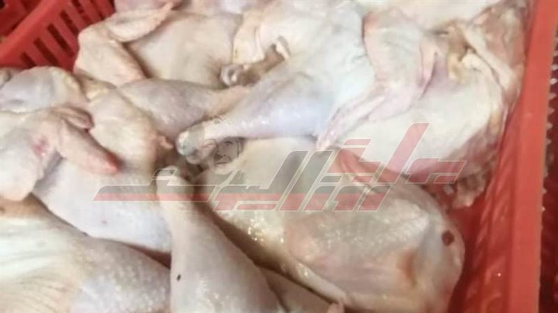 الدواجن الفاسدة