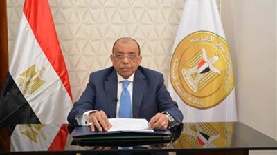 وزير التنمية المحلية: المدن والحكومات الإفريقية جزء من اهتمامنا المتنامي بالقارة