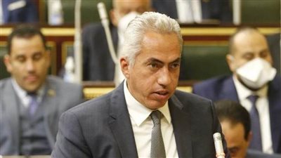 السنباطي: نقف خلف الدولة ومؤسساتها ونثق في قدرتها على حماية مصالح الشعب