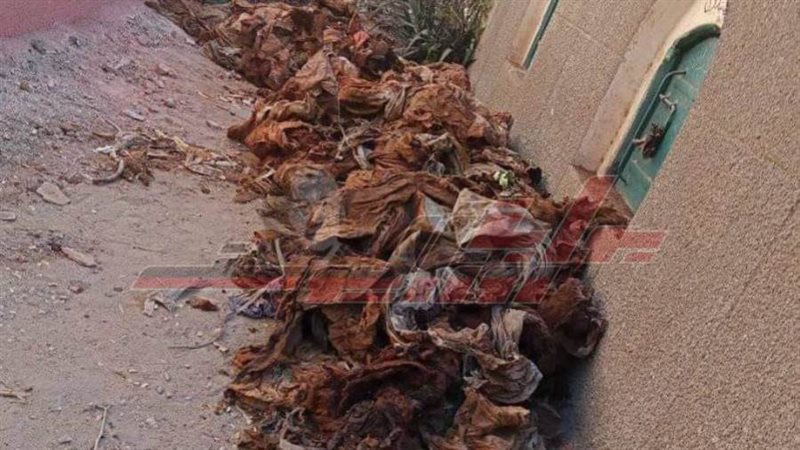 الاكفان المستخرجة