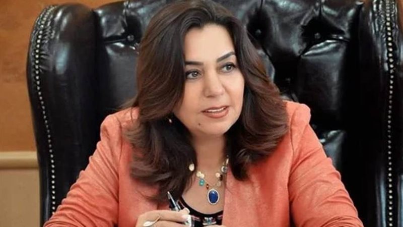 محافظ دمياط