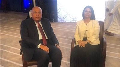 وزير الخارجية يعقد مباحثات مع نظيرته الليبية بالقاهرة