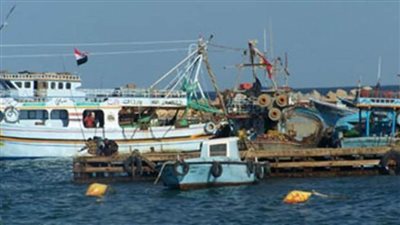 محافظ شمال سيناء: تطوير ميناء العريش أحيا الصناعات والإنتاج 