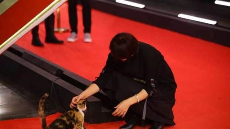 فنانة تداعب القطة