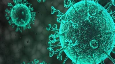 رئيس المناعة بعين شمس: الفطر الأسود يصيب هؤلاء الأشخاص.. و