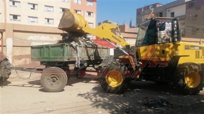 حملات نظافة وتجميل بمركز بيلا في كفر الشيخ