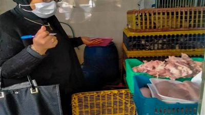 محافظة الإسكندرية تضبط 410 كجم منتجات غير صالحة للإستهلاك الآدمي